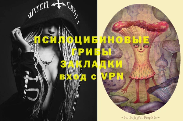 эйфоретик Алексин