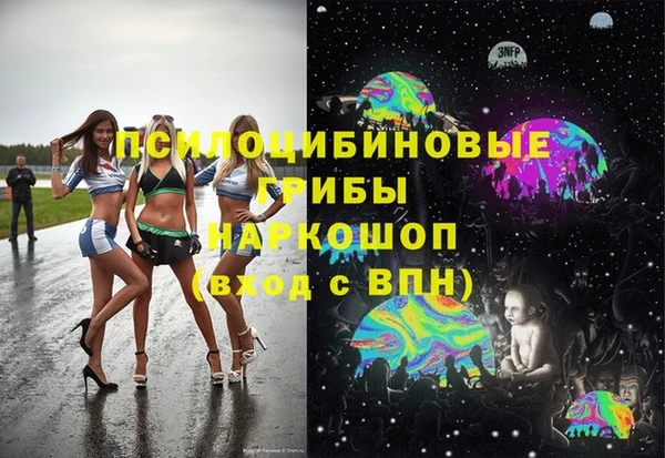 спиды Абаза