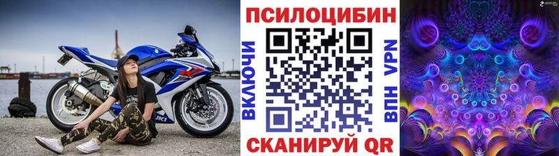 blacksprut как войти  Лабинск  Галлюциногенные грибы Psilocybine cubensis  даркнет сайт 
